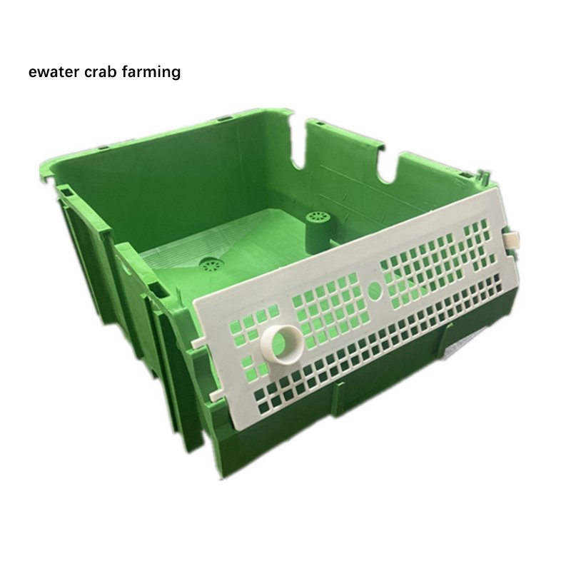 Mud crab farming indoor ras aquaculture system for sale
