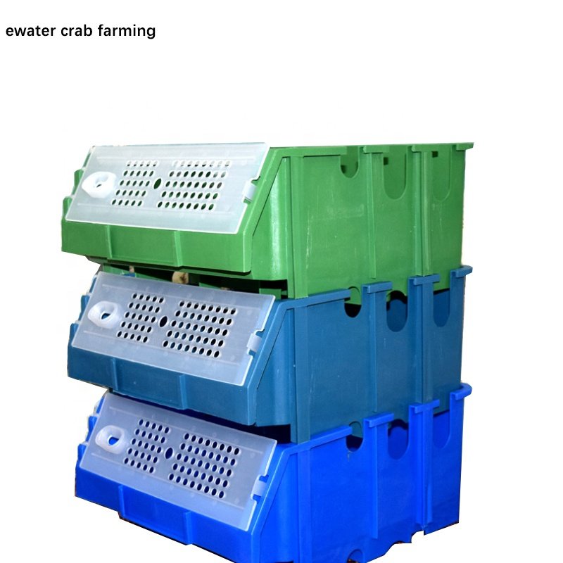 Mud crab farming indoor ras aquaculture system for sale