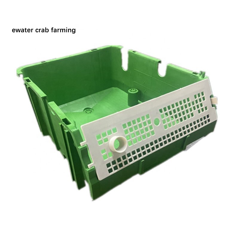 Indoor fish farm equipment vertical mud crab farming box for sale