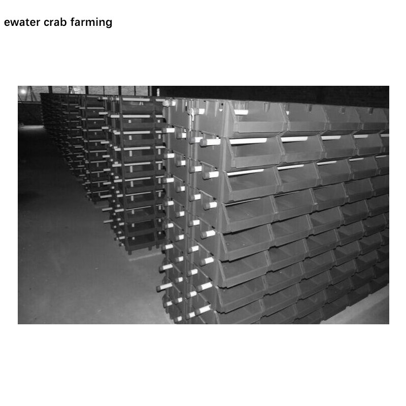 Indoor fish farm equipment vertical mud crab farming box for sale