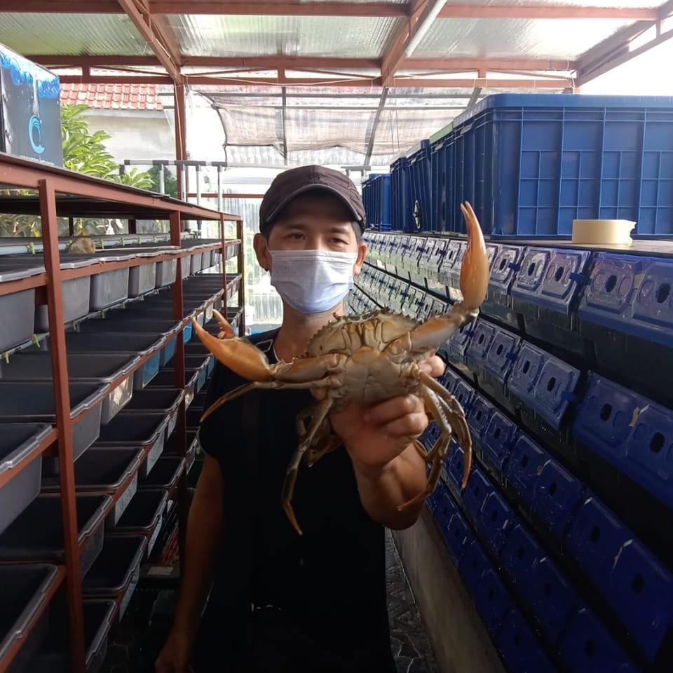 China factory Blue box Crab house aquaculture system customized plastic crab house box for ras system indoor farming