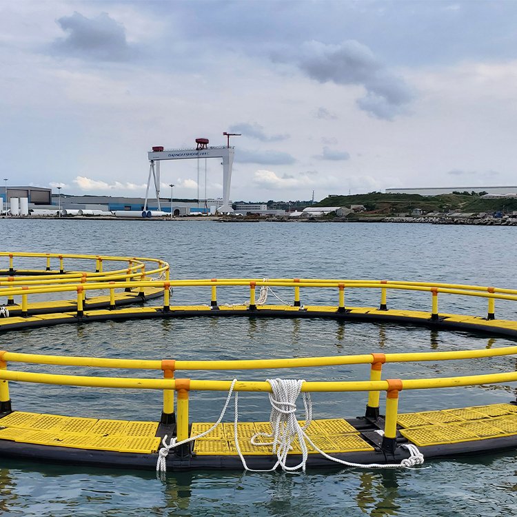 Aquaculture Circular Cage Fish Trap for sale