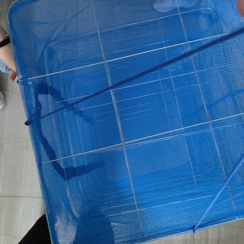 Wholesale cheap price 50*50*65cm tea flower dried cage net for Indonesia
