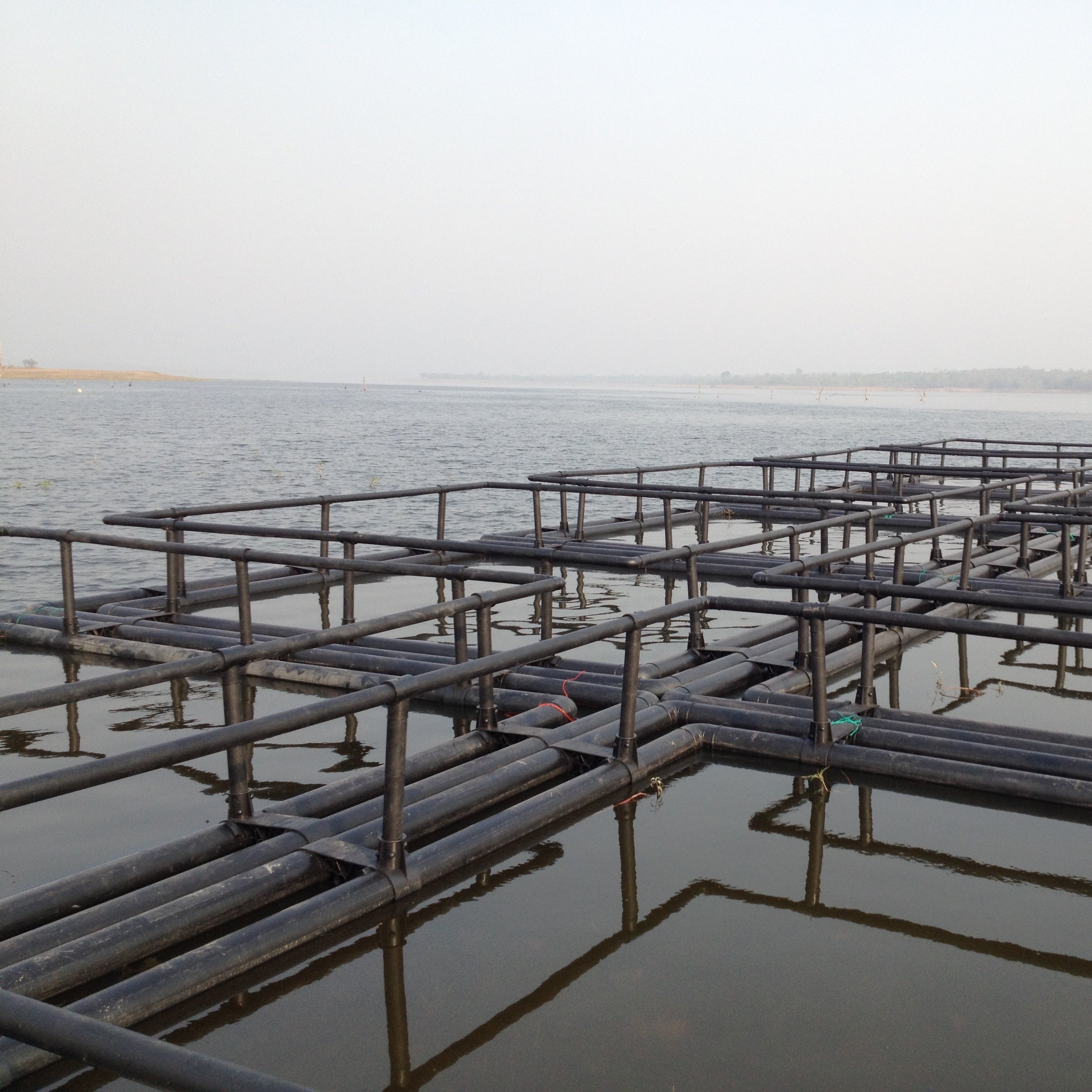 Square Fish Farming Cage HDPE