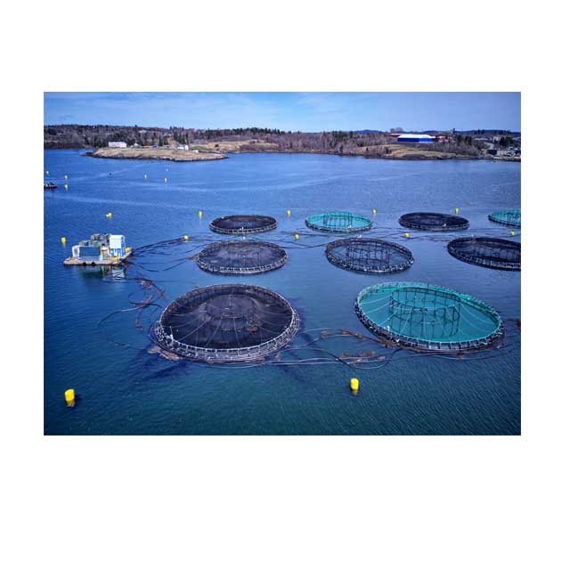 HDPE fish cage floating for Tilapia