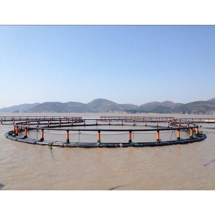 HDPE fish cage floating fish cages with aquaculture trap for fish cage aquaculture farms