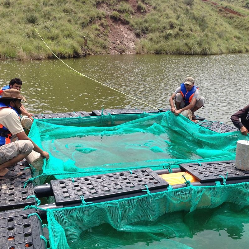 fish breeding net , HDPE cage fishing aquaculture mesh
