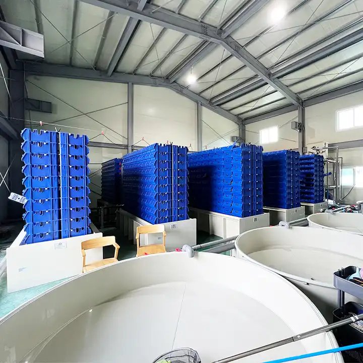 Box Mud Philippines Vertical Farming Cost Crab Farm System