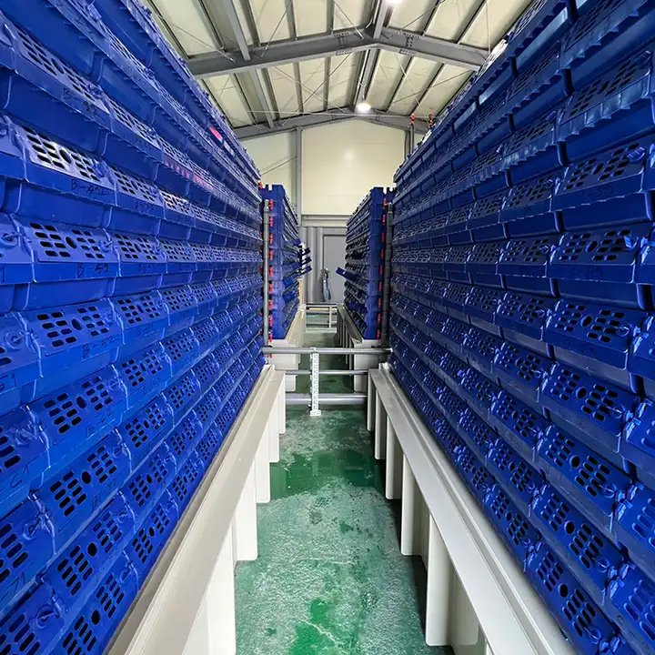 Box Mud Philippines Vertical Farming Cost Crab Farm System