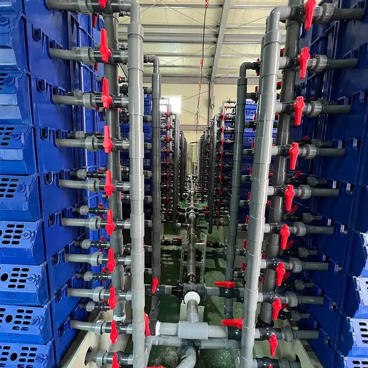 Box Mud Philippines Vertical Farming Cost Crab Farm System
