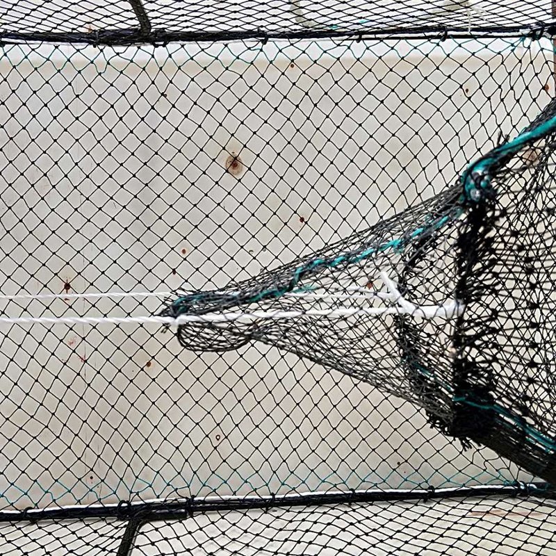 Factory Wholesale Stainless Steel Folding Fishing Trap for Shrimp Farming