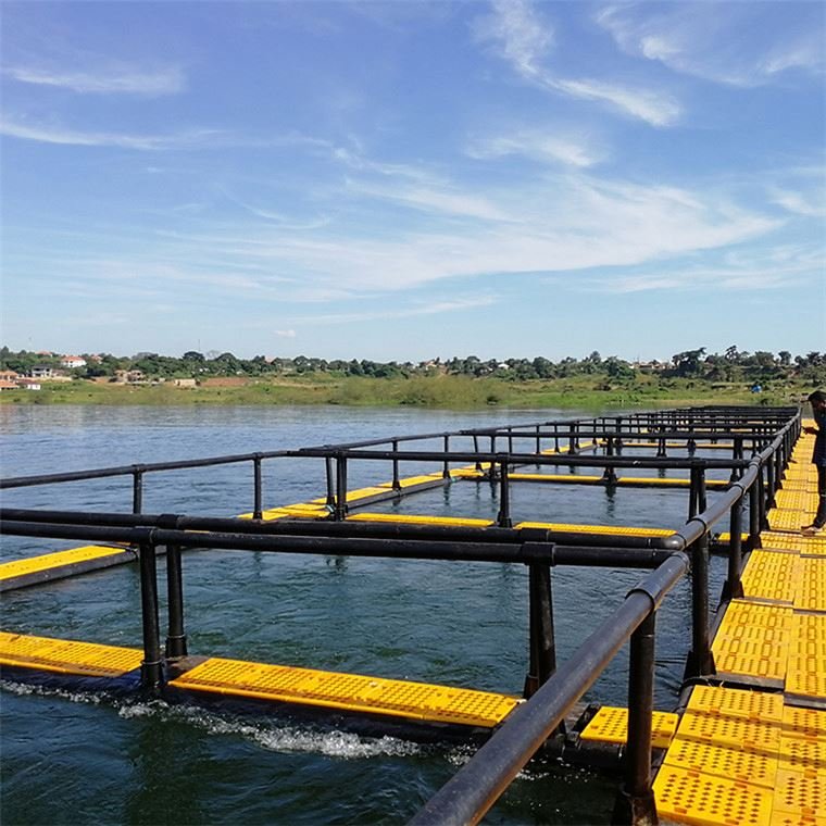 Fish Farming Cage Net for aquaculture