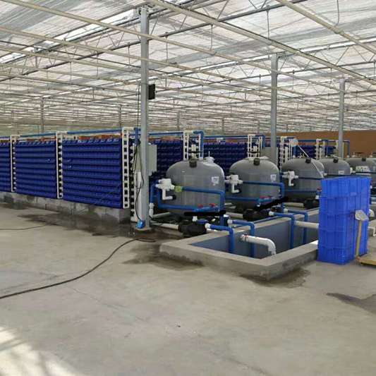 China factory Blue box Crab house aquaculture system customized plastic crab house box for ras system indoor farming