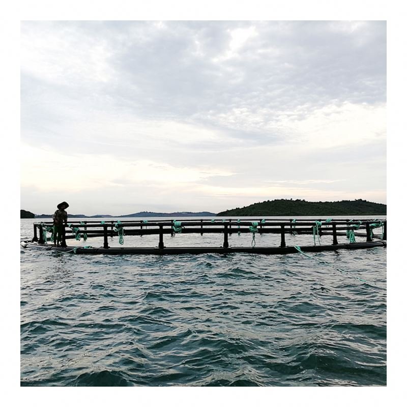 Hot-Sale Seabass Storm Resistance Offshore Aquaculture Floating HDPE Fish Farming round Cages in Deep Water