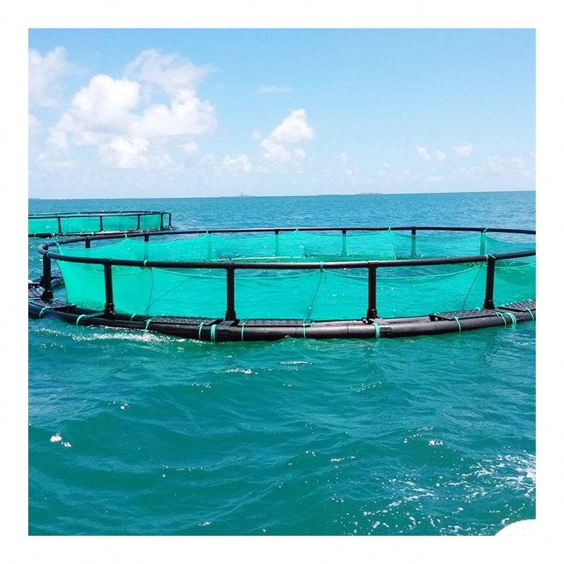 Hot-Sale Seabass Storm Resistance Offshore Aquaculture Floating HDPE Fish Farming round Cages in Deep Water