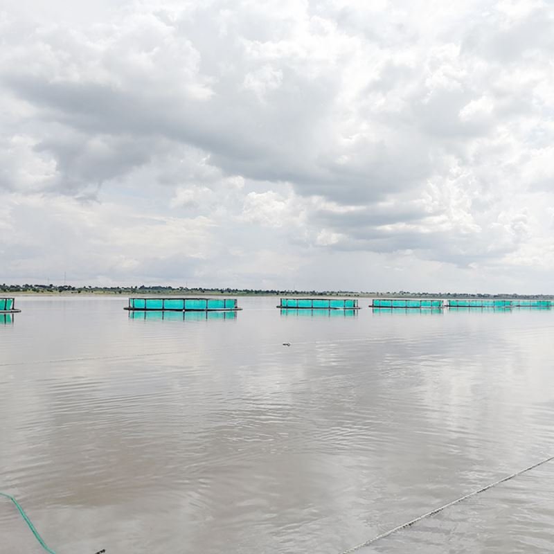 Hot-Sale Seabass Storm Resistance Offshore Aquaculture Floating HDPE Fish Farming round Cages in Deep Water