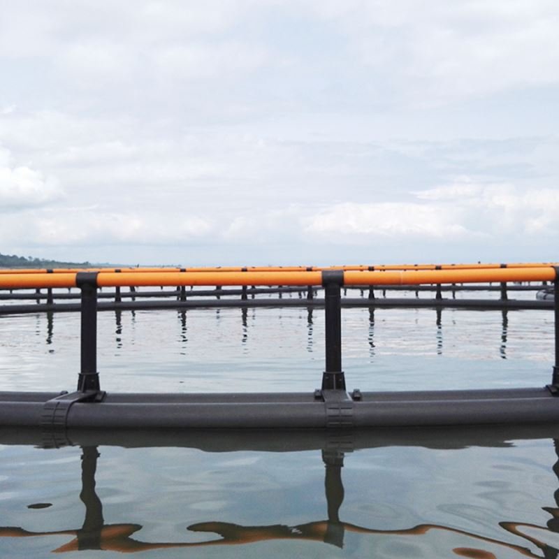 Hot-Sale Seabass Storm Resistance Offshore Aquaculture Floating HDPE Fish Farming round Cages in Deep Water