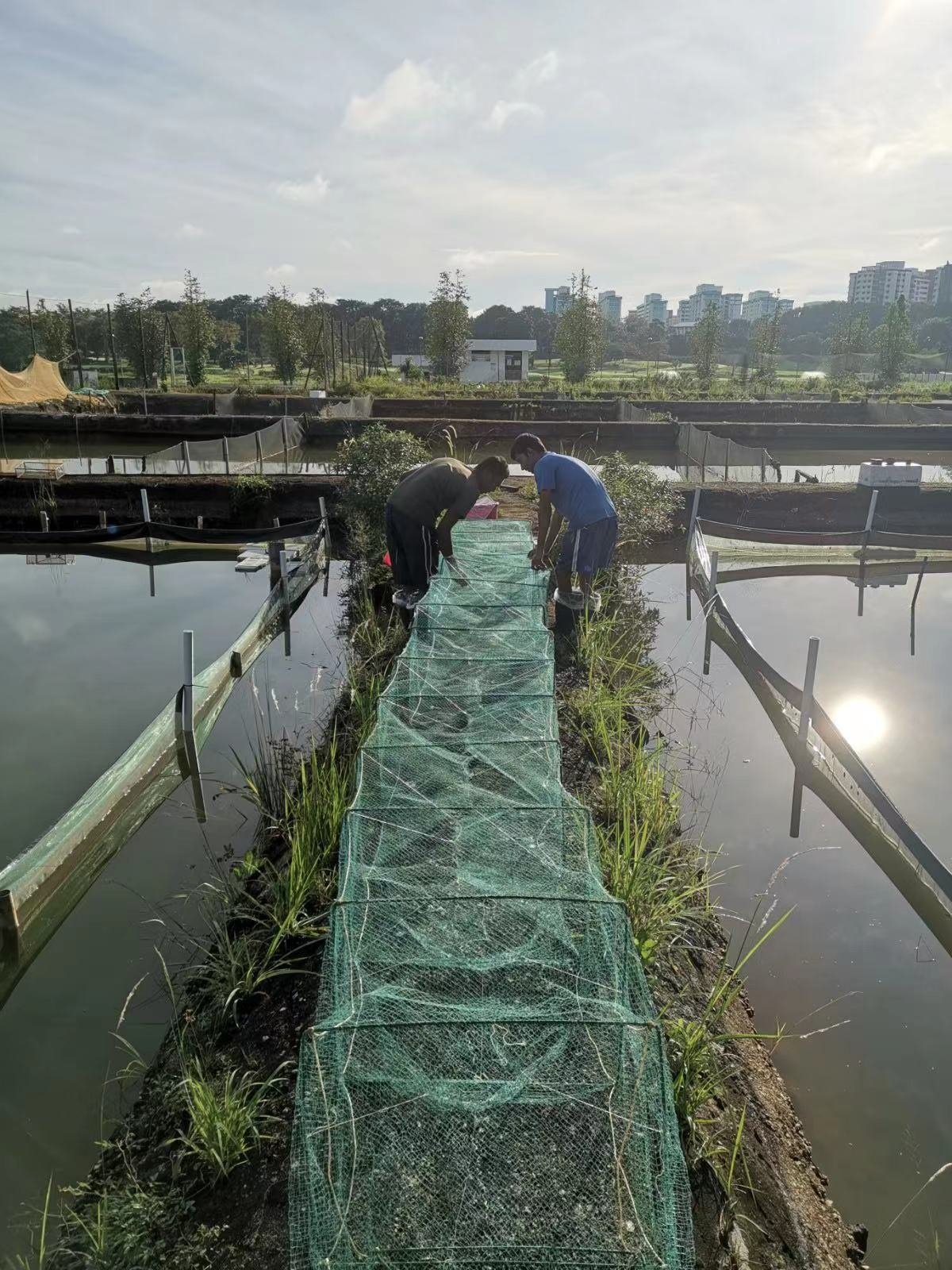 Wholesale Durable Stainless Steel Frame 5m Crab Aquaculture Trap Net, Crawfish Fish Farming Collapsible Cage