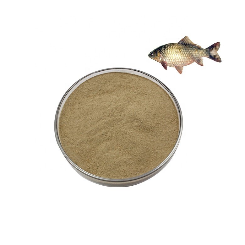 Aquaculture Biofloc Probiotics For Fish Pond Treatment Farm Shrimp Water Pediococcus Acidilactici