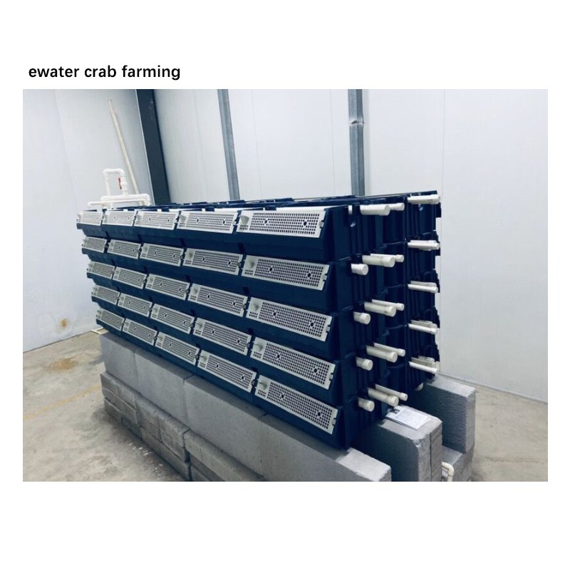 RAS equipment crab farming boxes for mud crab farming