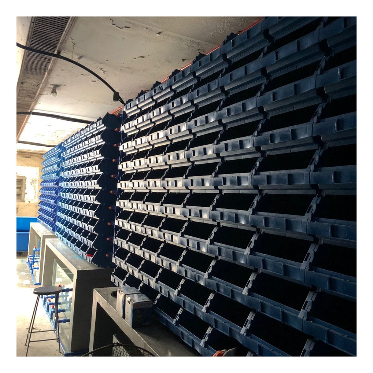 Crayfish Box/Crayfish Farming Cost/Indoor Crab Farming Boxes Vertical Farming Box Crab House