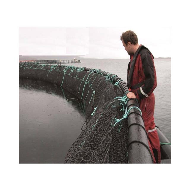 6x6 fish square hpde cage bamboo fish traps