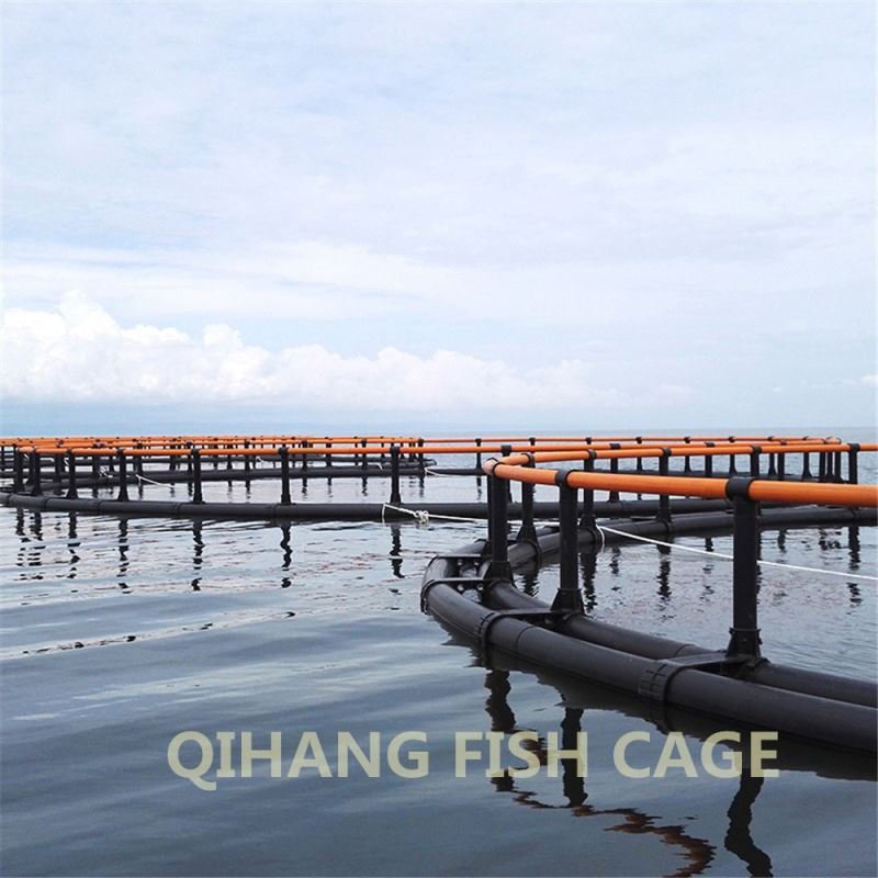 China factory Price sea fishery breeding cage,fish floating cage