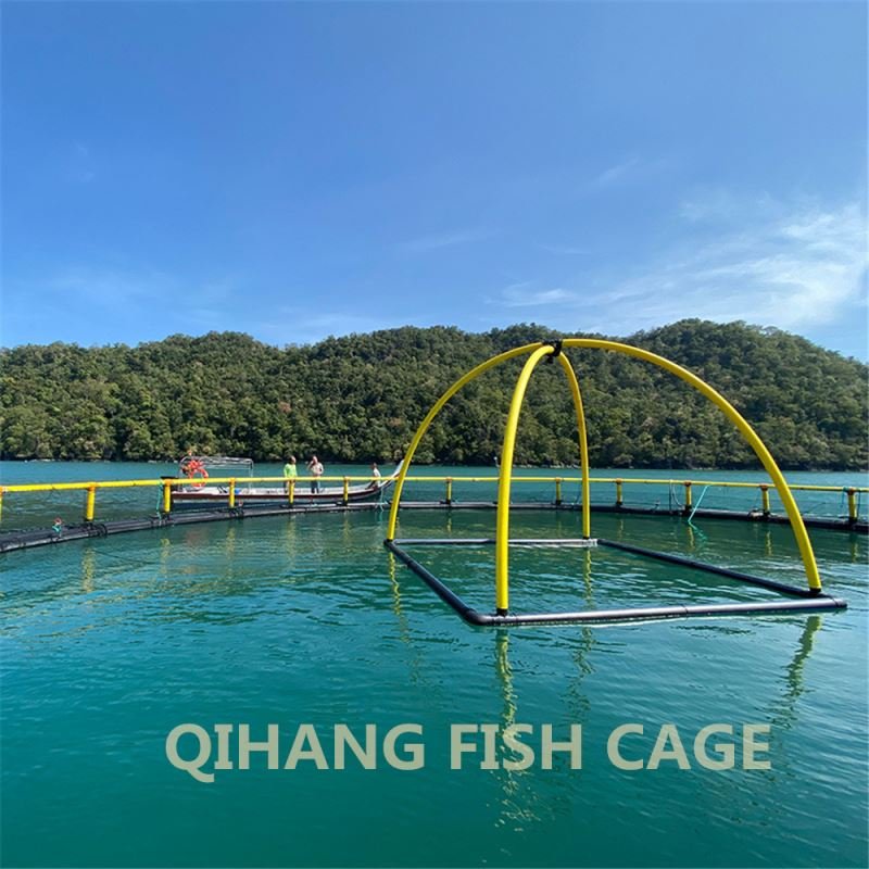 China factory Price sea fishery breeding cage,fish floating cage