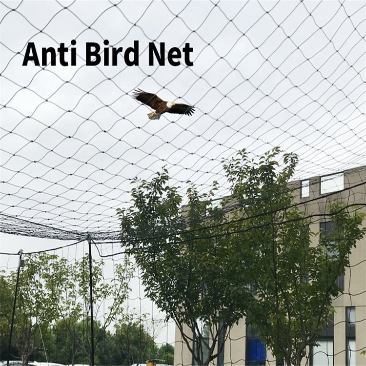 Black Bird Netting Agricultural For Garden Orchard Vineyard BOP PP Plastic Net Mesh For Chicken Anti Bird Net For Farm
