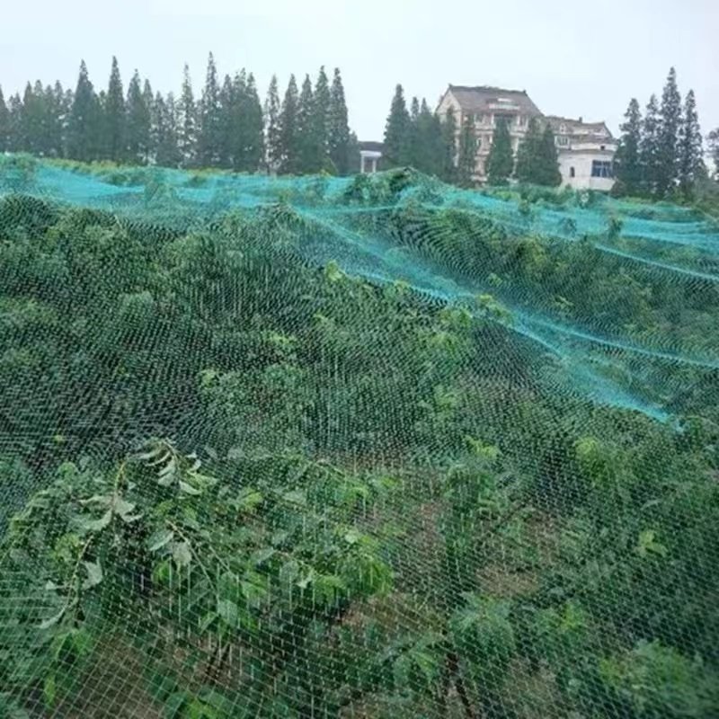Buy Fishing Nets Cheap multifilament Fish Farming netting