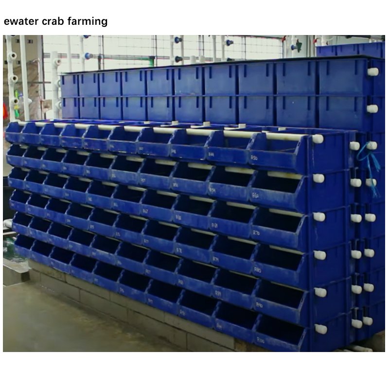 High quality Factory hot sale mud crab farming ras system water filter