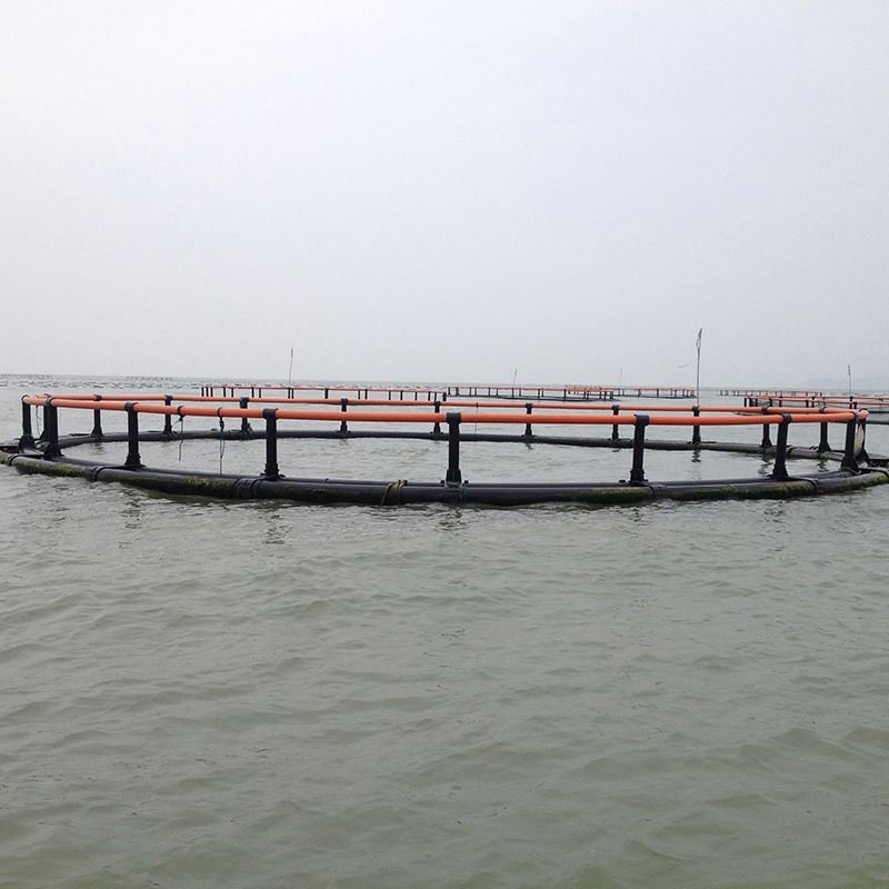 Aquaculture plastic floating HDPE pipe farming fish net cage for salmon
