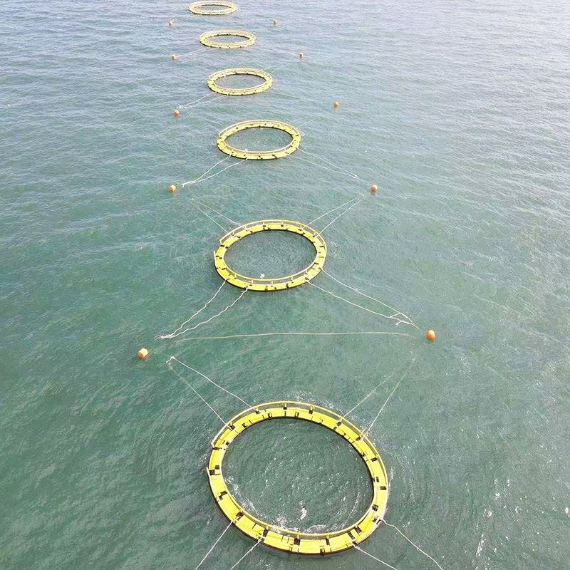 Aquaculture plastic floating HDPE pipe farming fish net cage for salmon
