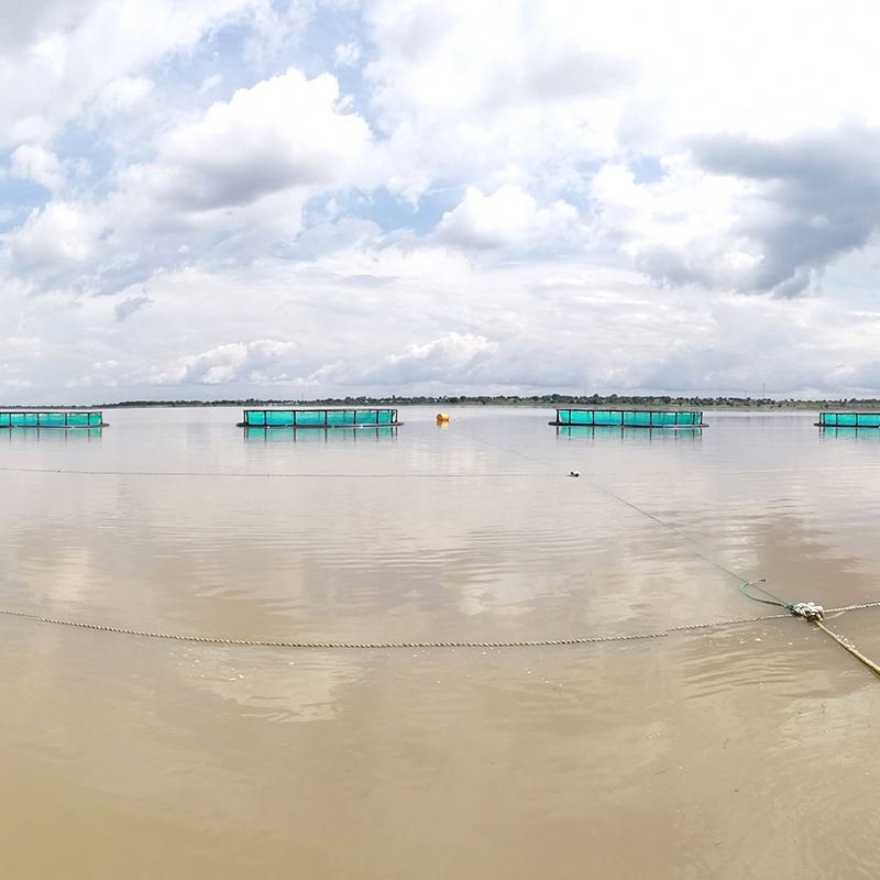 Aquaculture plastic floating HDPE pipe farming fish net cage for salmon