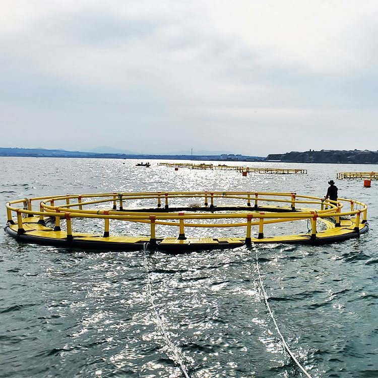 Aquaculture plastic floating HDPE pipe farming fish net cage for salmon