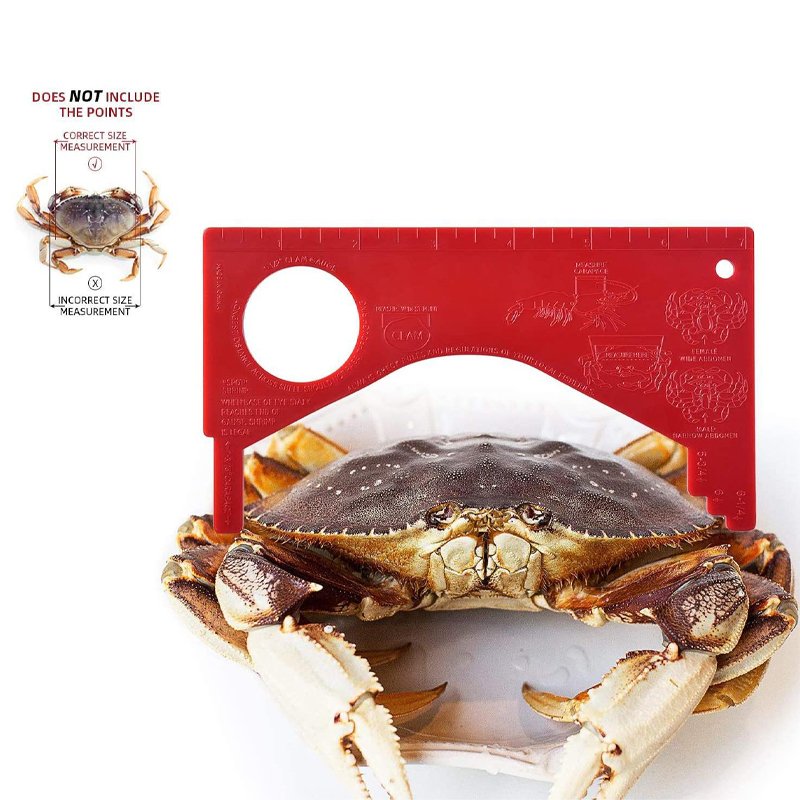 portable Fishing net Crab Ring Trap with Crab Gauge Decoy Clip crab trap net aquaculture trap sets for lobster