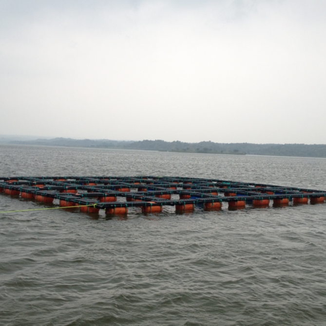 Marine plastic pontoon fish floating cage for tilapia catfish aquaculture farm