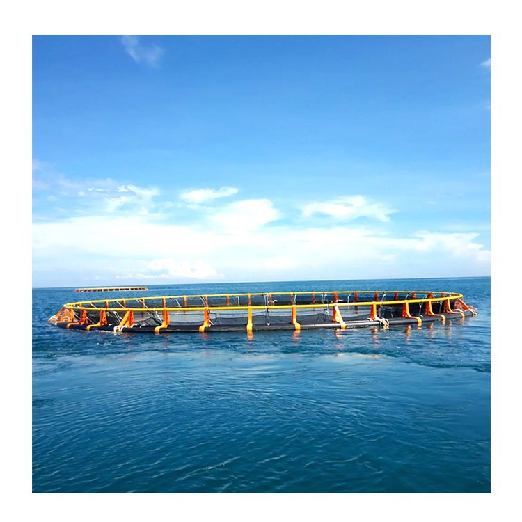 100% New Raw Material Hdpe Pipe Deep Water Marine Culture Fishing Round Cage For Fish Breeding Aquaculture Farming Pipe