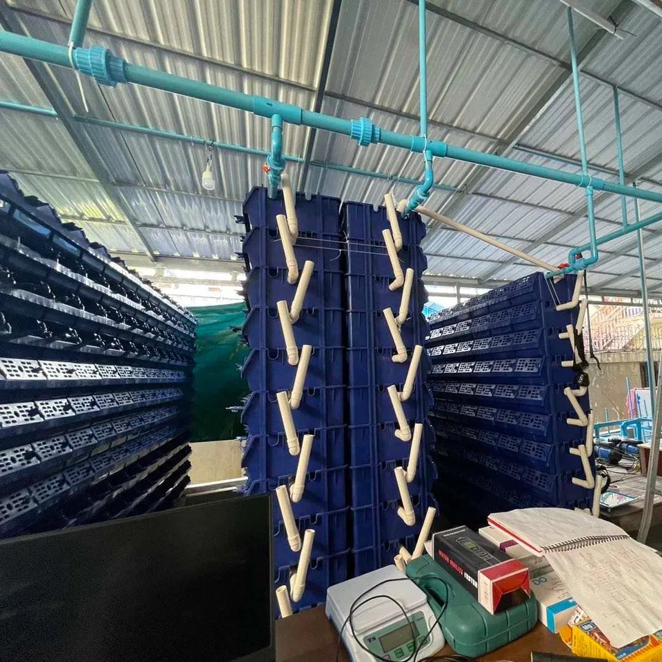 Factory Price Sale Crayfish Crab Cage Indoor Fattening Growing House Vertical Seafood Breeding Crab Case System