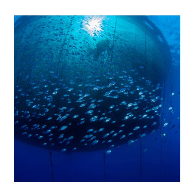 Hot Sell Hdpe Circular Fish Cage aquaculture Circular Floating Hdpe Fish Cage