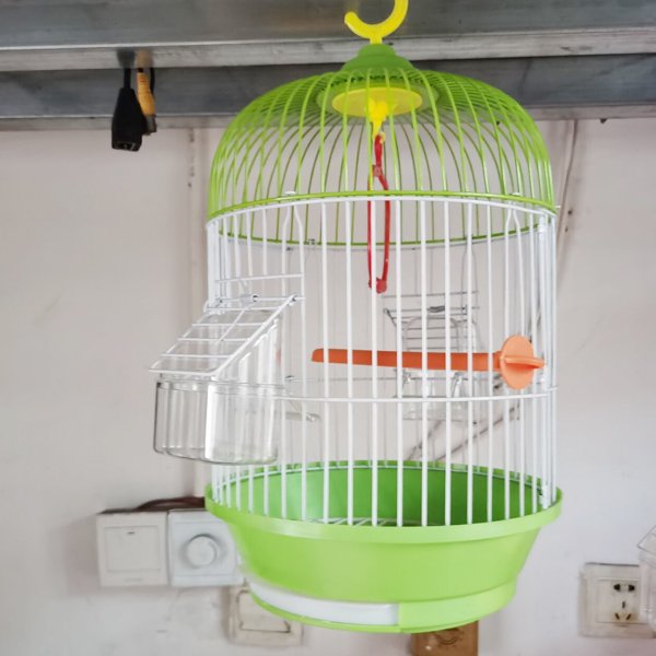 Fancy Decorative Wood Bird Cages Wooden Bird House/Cage