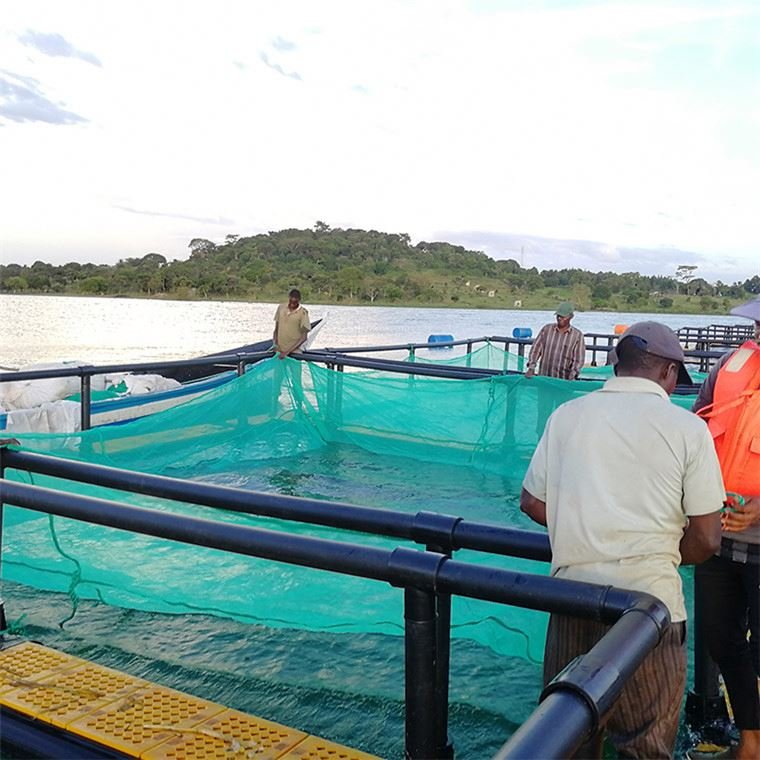 Plastic HDPE square fish cage floating in freshwater