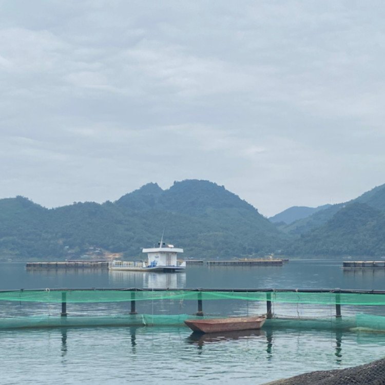Hdpe Cages Cheap Price Secure Aquatic Research Center Floating Round Cage Customization Producer From Vietnam Manufacturer