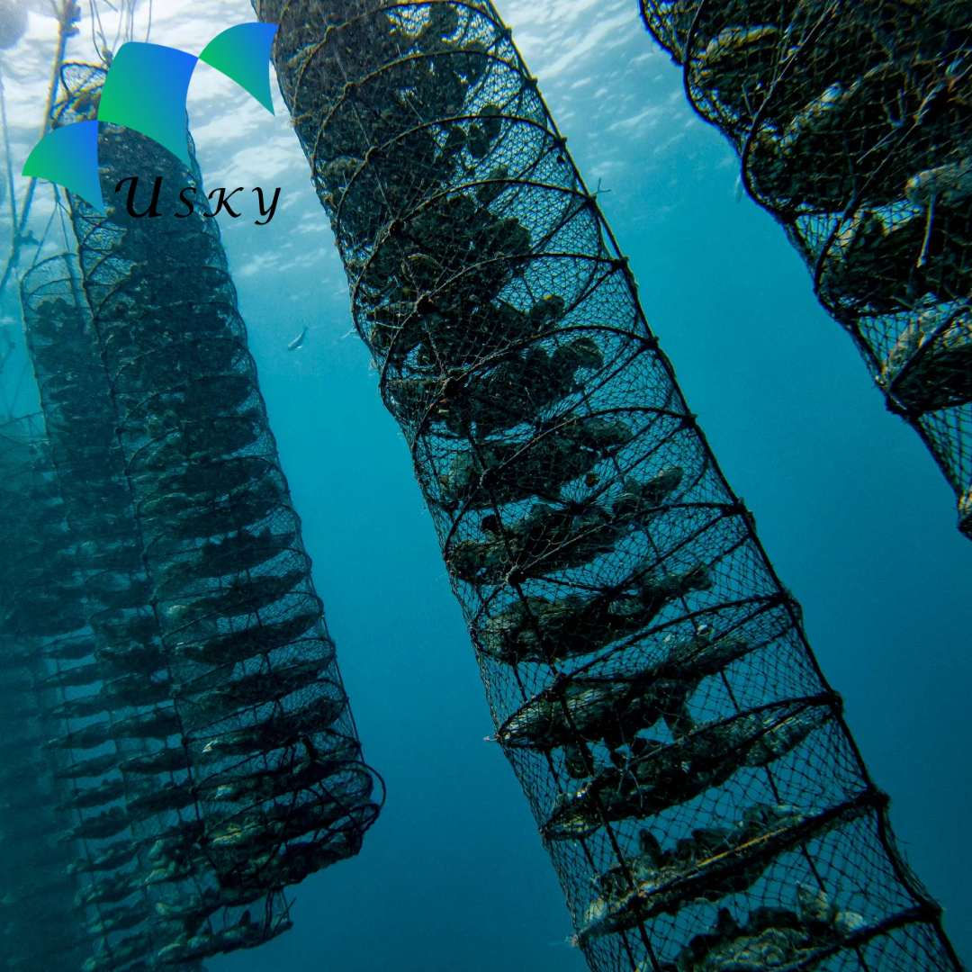 50cm diameter 10 layers of customizable shellfish/pearl net lantern net cage/scallop/ for Chile Market