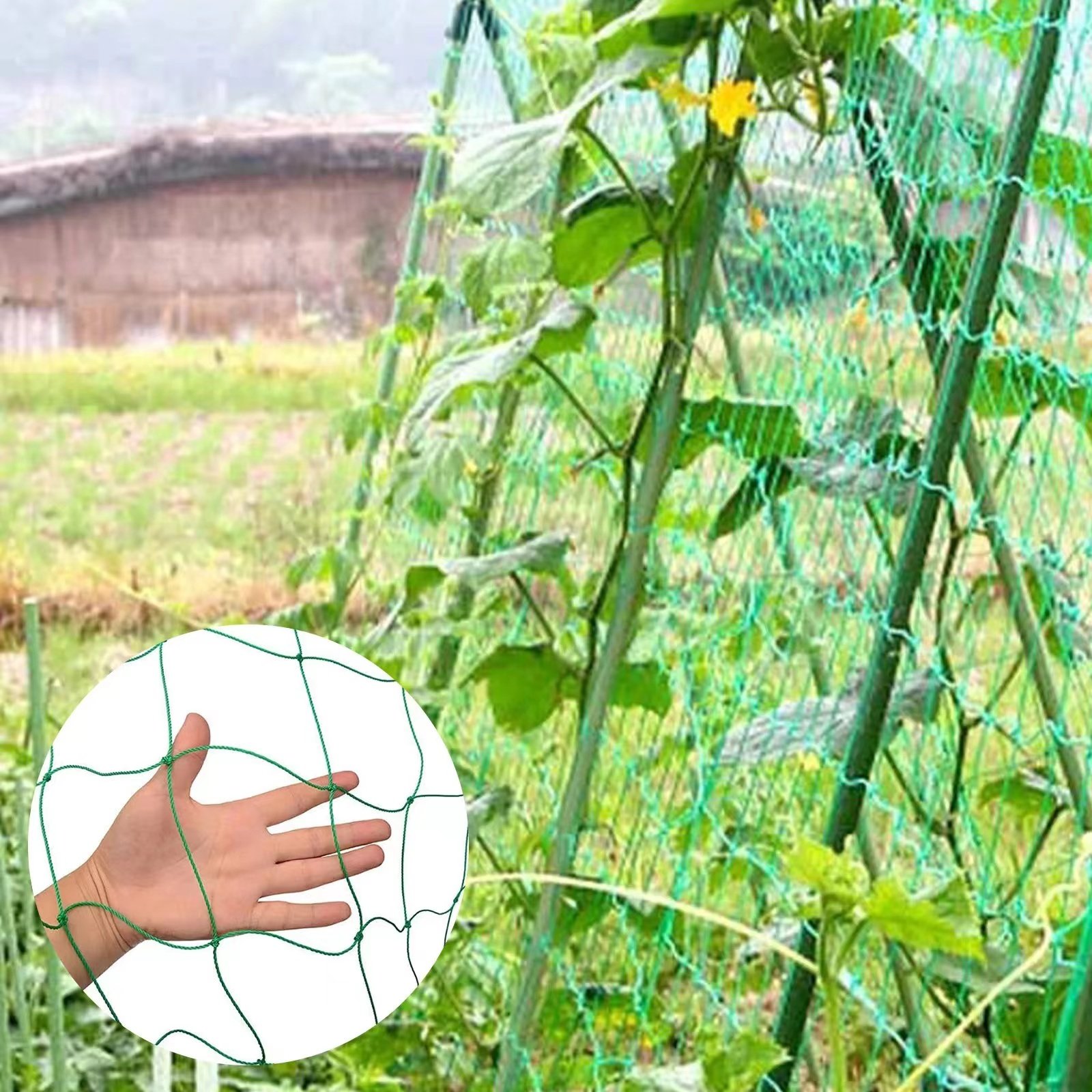 Factory directly supply plant support net garden plastic trellis mesh for climbing outdoor plants netting