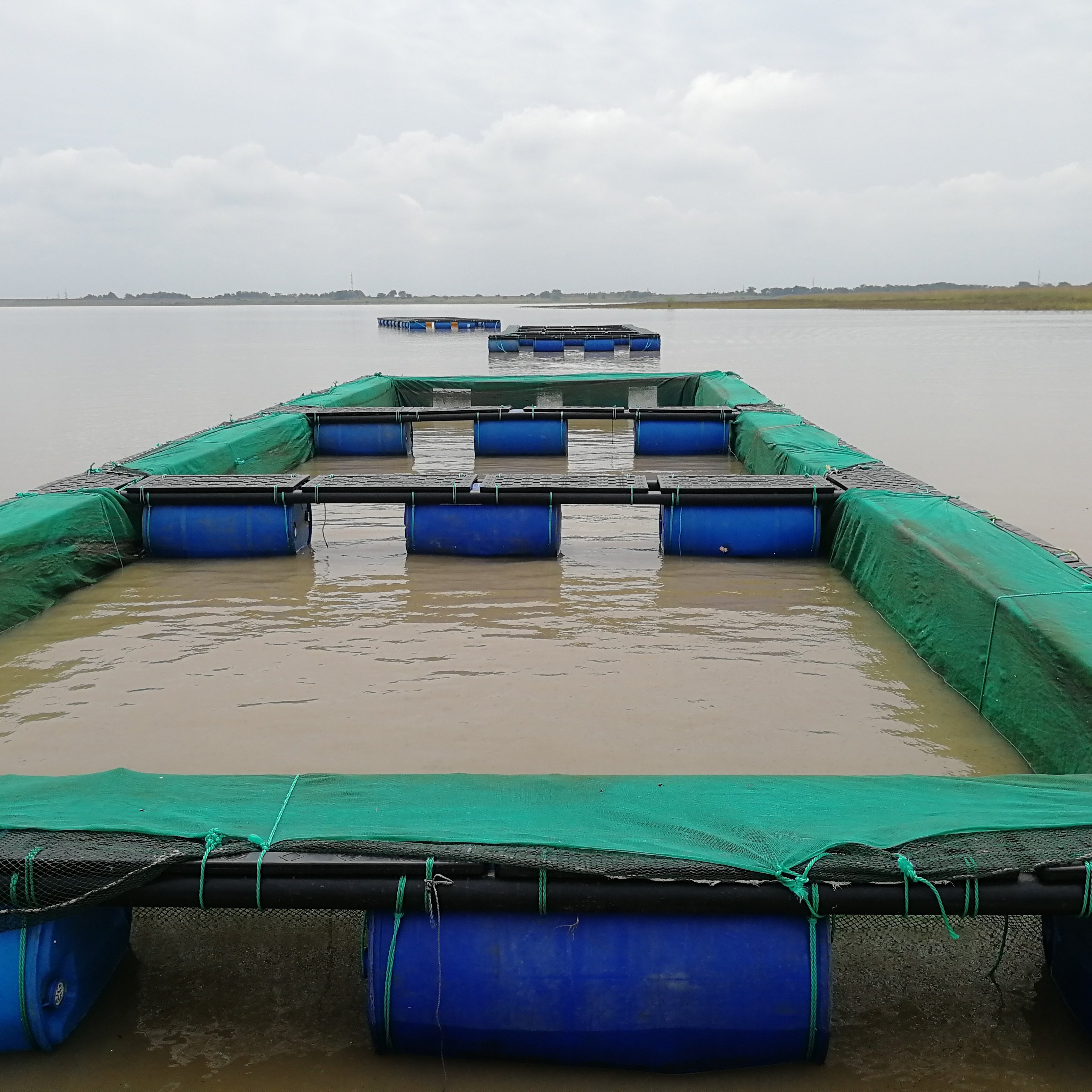 100% HDPE nylon floating fish net cage for Tilapia fish farming equipments