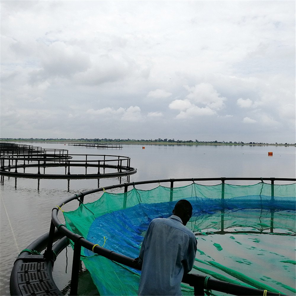 Aquaculture fish farming floating net cages equipment for tilapia