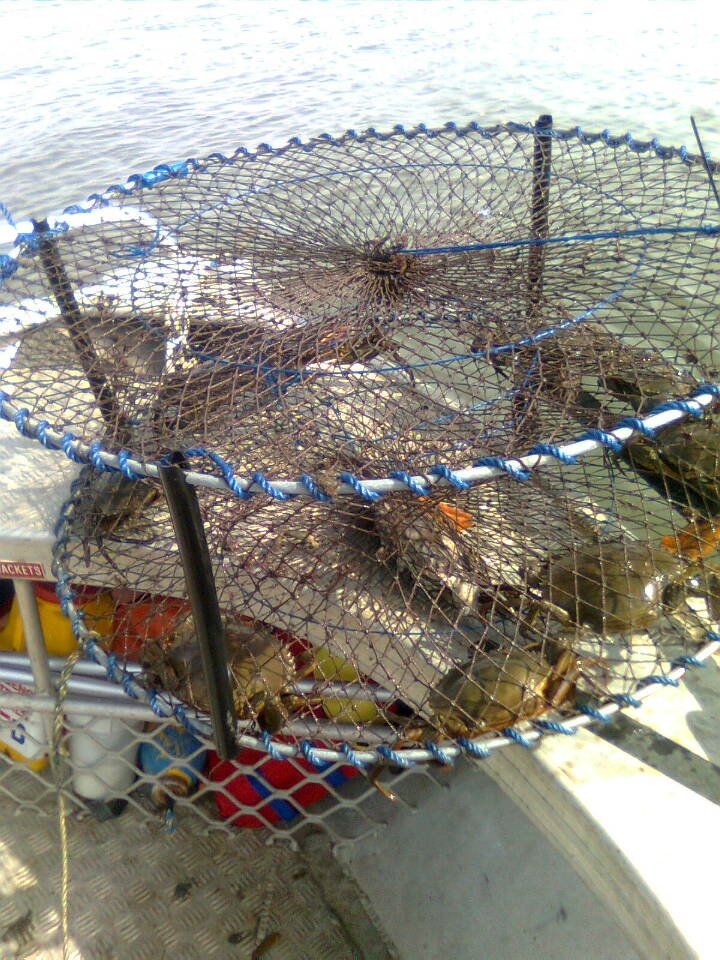 Professional King crab trap pot with 4 entry aquaculture equipment Commercial Crab Trap