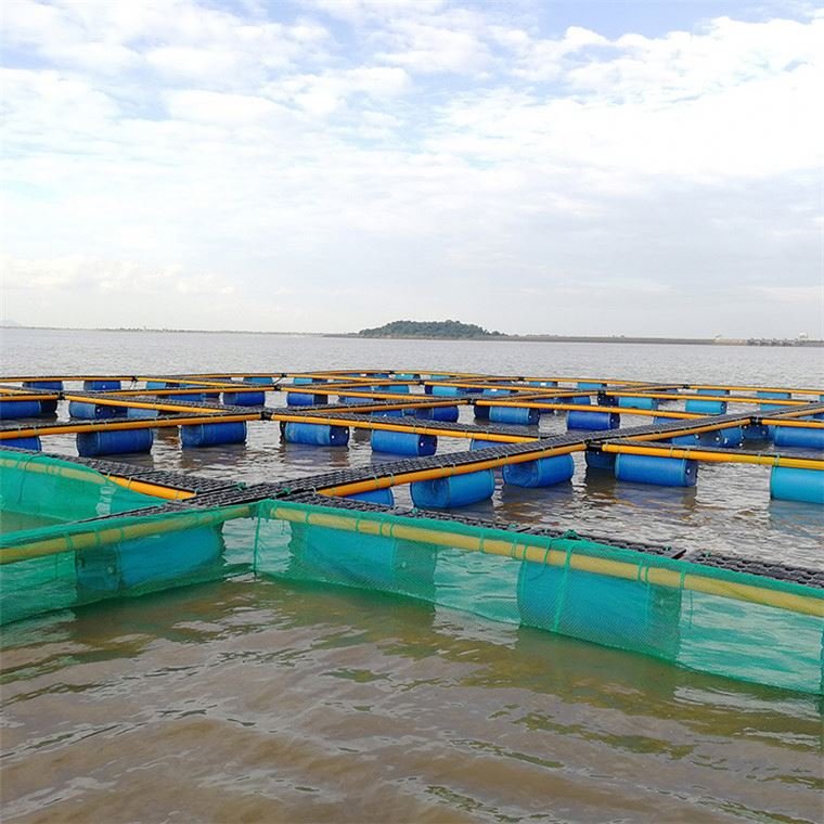 Leisure fishing fishery breeding leisure net cage
