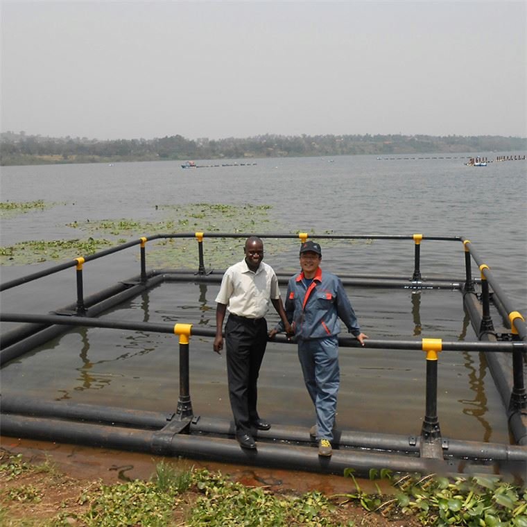 Leisure fishing fishery breeding leisure net cage